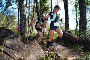 BIB: 
                            <button type="button" onclick="openModal(18956421)" class="btn btn-primary btn-sm float-right btn-popup" data-toggle="modal" data-target=".modal-high-quality">
                        <i class="fas fa-shopping-cart"></i> Add to Cart
                    </button>
                                            <button type="button" onclick="isThisMe(18956421, true)" class="btn btn-success btn-sm float-right btn-popup btn-isme hidden" data-toggle="tooltip" data-placement="bottom" title="นี่คือรูปของคุณใช่ไหม คลิกที่นี่เพื่อเอาเข้าอัลบั้ม">
                        <i class="fas fa-plus"></i> Add to album
                    </button>
                    <button type="button" onclick="isThisMe(18956421, false)" class="btn btn-warning btn-sm float-right btn-popup btn-isnotme hidden">
                        <i class="fas fa-ban"></i> Remove from album
                    </button>